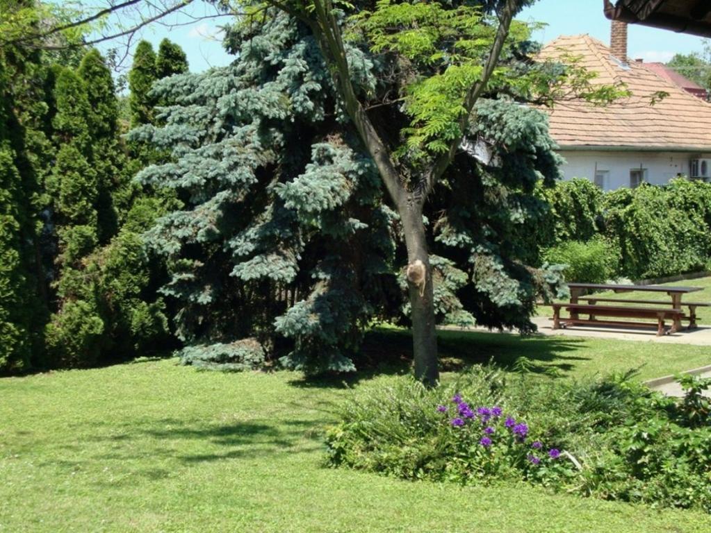 Apartament Gyongyvirag Vendeghaz Balatonboglár Zewnętrze zdjęcie
